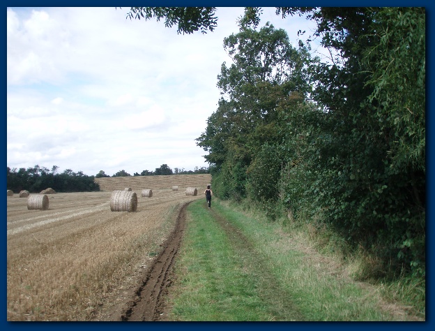 600x449 pixels (145K)